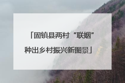 固镇县两村“联姻”种出乡村振兴新图景