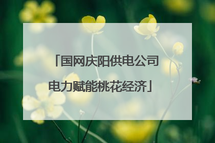 国网庆阳供电公司电力赋能桃花经济