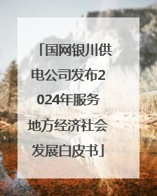 国网银川供电公司发布2024年服务地方经济社会发展白皮书