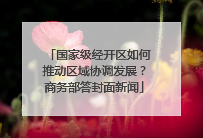 国家级经开区如何推动区域协调发展？商务部答封面新闻