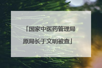 国家中医药管理局原局长于文明被查