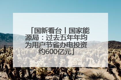 国新看台丨国家能源局：过去五年年均为用户节省办电投资约600亿元