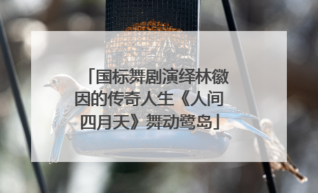 国标舞剧演绎林徽因的传奇人生《人间四月天》舞动鹭岛