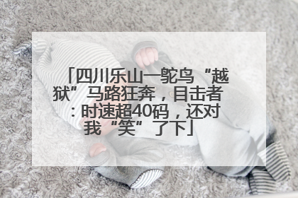 四川乐山一鸵鸟“越狱”马路狂奔，目击者：时速超40码，还对我“笑”了下