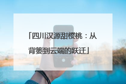 四川汉源甜樱桃：从背篓到云端的跃迁