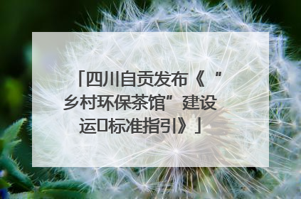 四川自贡发布《“乡村环保茶馆”建设运⾏标准指引》
