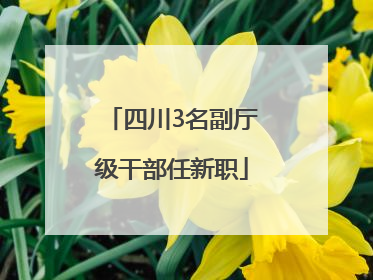 四川3名副厅级干部任新职