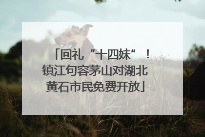 回礼“十四妹”！镇江句容茅山对湖北黄石市民免费开放