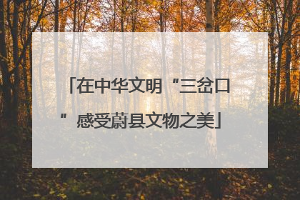 在中华文明“三岔口”感受蔚县文物之美