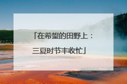 在希望的田野上：三夏时节丰收忙