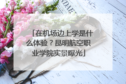 在机场边上学是什么体验？昆明航空职业学院实景曝光