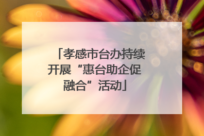 孝感市台办持续开展“惠台助企促融合”活动