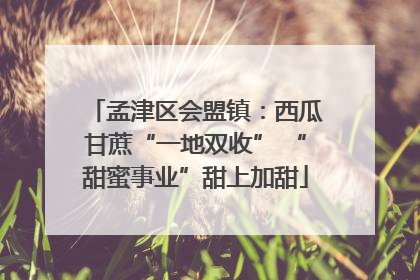 孟津区会盟镇：西瓜甘蔗“一地双收” “甜蜜事业”甜上加甜