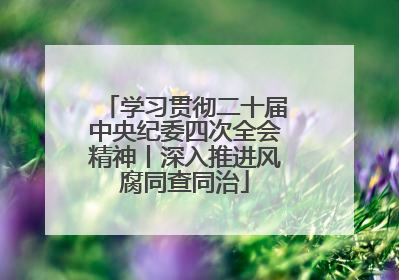 学习贯彻二十届中央纪委四次全会精神丨深入推进风腐同查同治