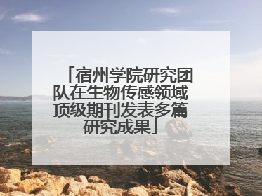 宿州学院研究团队在生物传感领域顶级期刊发表多篇研究成果