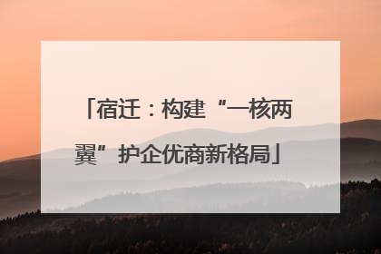 宿迁：构建“一核两翼”护企优商新格局