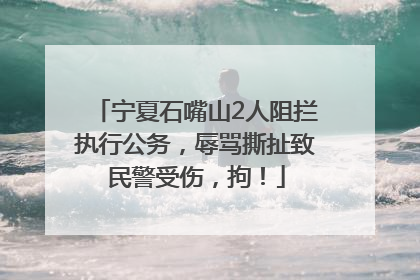 宁夏石嘴山2人阻拦执行公务，辱骂撕扯致民警受伤，拘！