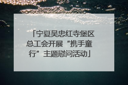 宁夏吴忠红寺堡区总工会开展“携手童行”主题慰问活动