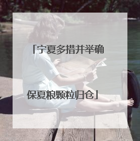 宁夏多措并举确保夏粮颗粒归仓