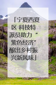 宁夏西夏区 科技特派员助力“紫色经济”酿出乡村振兴新风味