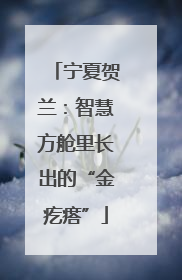 宁夏贺兰：智慧方舱里长出的“金疙瘩”