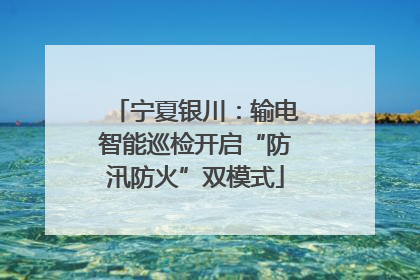 宁夏银川：输电智能巡检开启“防汛防火”双模式