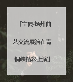 宁夏·扬州曲艺交流展演在青铜峡精彩上演