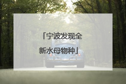宁波发现全新水母物种