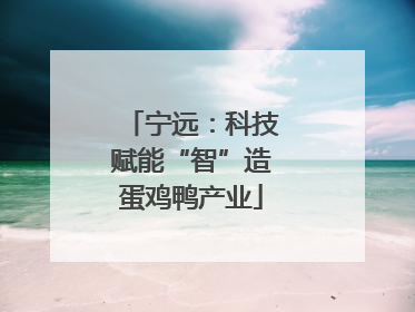 宁远：科技赋能“智”造蛋鸡鸭产业
