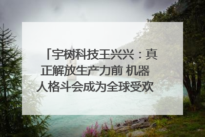 宇树科技王兴兴：真正解放生产力前 机器人格斗会成为全球受欢迎的赛事｜科技观察