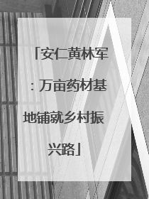 安仁黄林军：万亩药材基地铺就乡村振兴路
