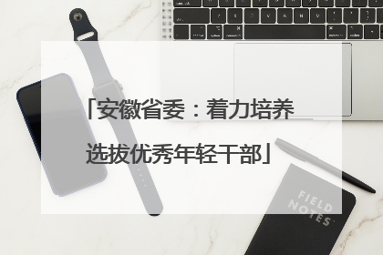 安徽省委：着力培养选拔优秀年轻干部