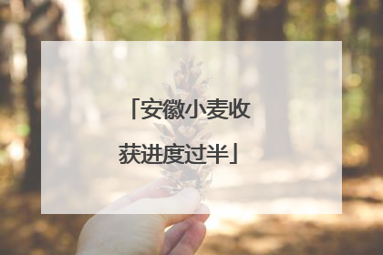 安徽小麦收获进度过半