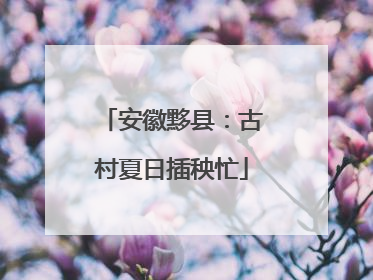 安徽黟县：古村夏日插秧忙
