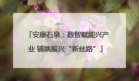 安康石泉：数智赋能兴产业 铺就振兴“新丝路”