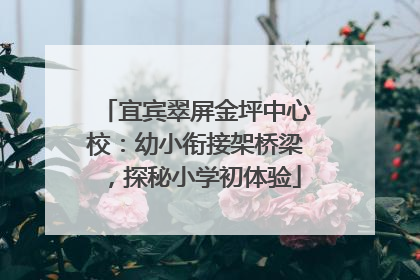 宜宾翠屏金坪中心校：幼小衔接架桥梁，探秘小学初体验