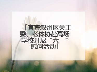 宜宾叙州区关工委、老体协赴高场学校开展“六一”慰问活动