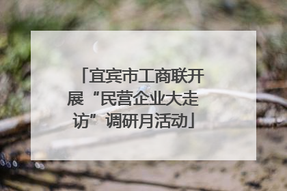 宜宾市工商联开展“民营企业大走访”调研月活动