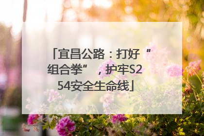 宜昌公路：打好“组合拳”，护牢S254安全生命线