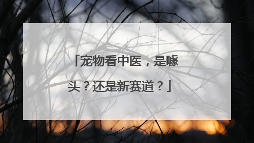 宠物看中医，是噱头？还是新赛道？