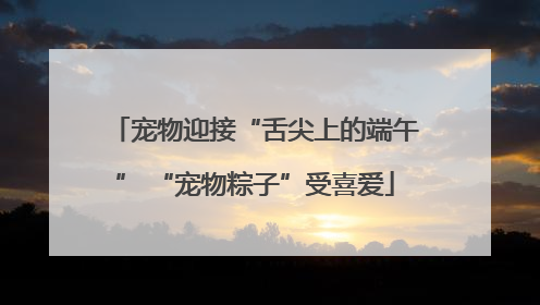 宠物迎接“舌尖上的端午” “宠物粽子”受喜爱