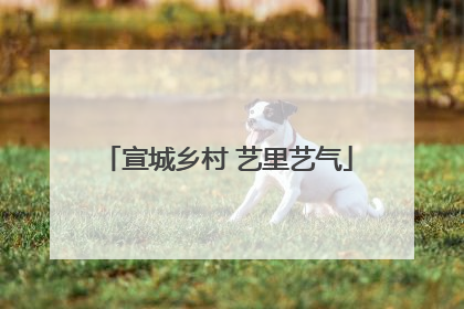 宣城乡村 艺里艺气