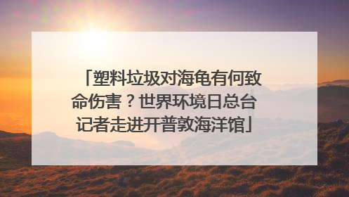 塑料垃圾对海龟有何致命伤害？世界环境日总台记者走进开普敦海洋馆
