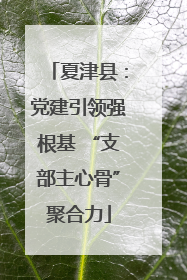 夏津县：党建引领强根基 “支部主心骨”聚合力