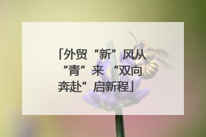外贸“新”风从“青”来 “双向奔赴”启新程