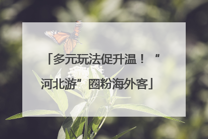 多元玩法促升温！“河北游”圈粉海外客
