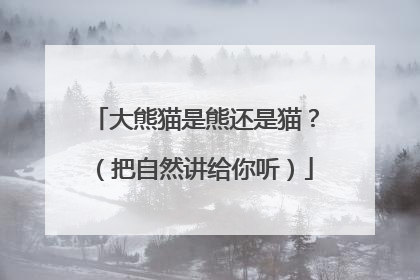 大熊猫是熊还是猫？（把自然讲给你听）
