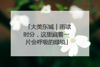 大美东城｜雨歇时分，这里藏着一片会呼吸的绿境