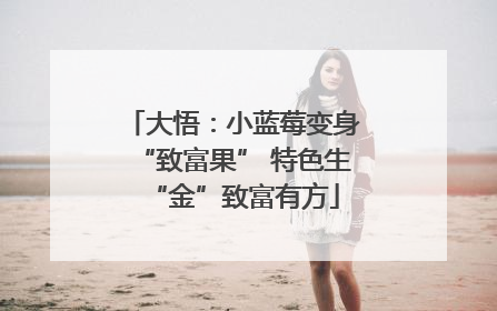大悟：小蓝莓变身“致富果” 特色生“金”致富有方