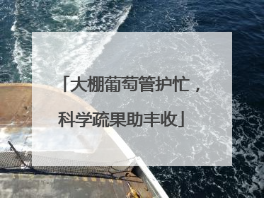 大棚葡萄管护忙，科学疏果助丰收